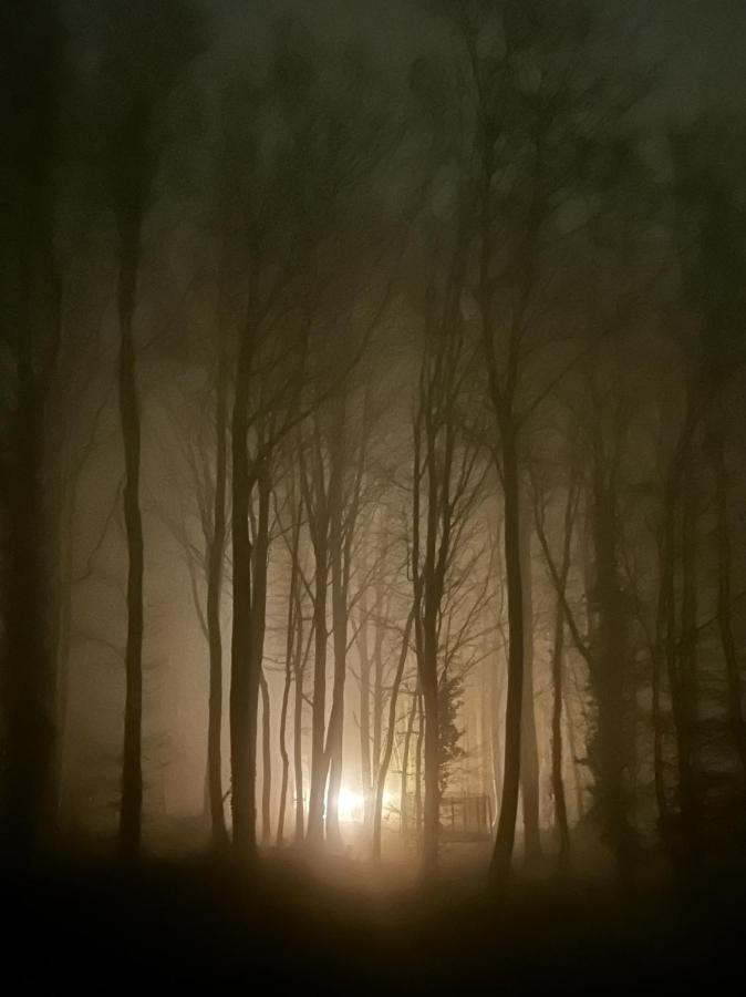 Le Dome De Namur - Une Nuit Insolite Dans Les Bois Ngoại thất bức ảnh