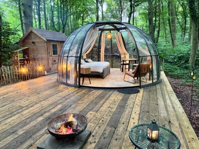 Le Dome De Namur - Une Nuit Insolite Dans Les Bois Ngoại thất bức ảnh